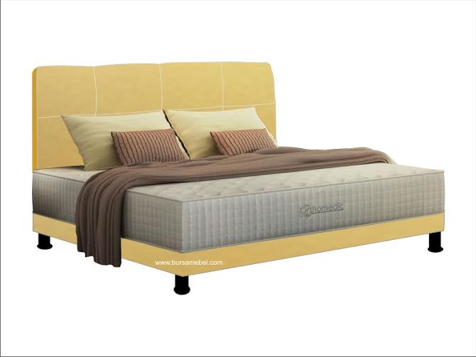 Romance New Orthomedic AMD.jpg/