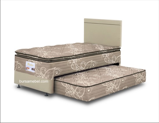 2 in 1 Master PT 120 CHG.jpg/