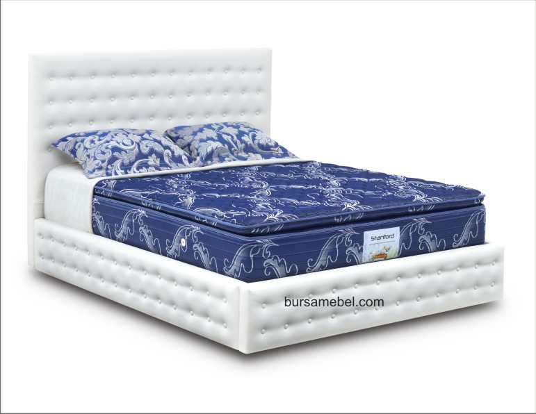 Stanford America.jpg/