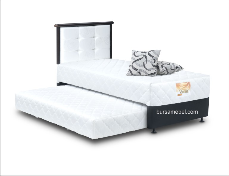 2 in 1 Vienna Roma.jpg/