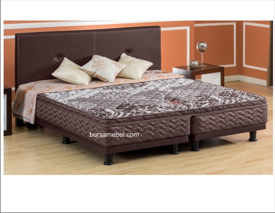 MB STD PT VS SNA.jpg/