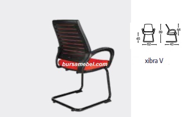 XIBRA V.jpg/