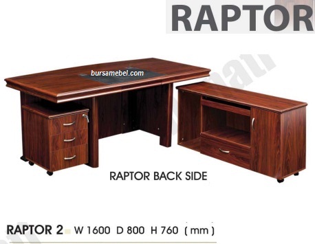 raptor.jpg/