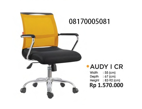 AUDY I CR R.jpg/