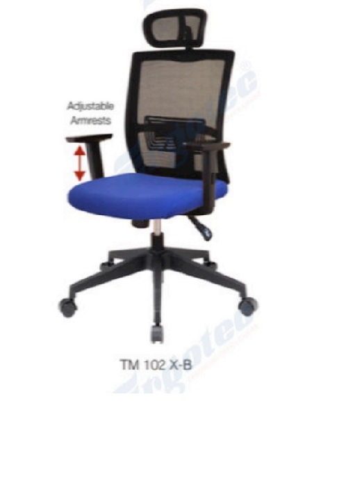 TM 102 X-B.jpg/