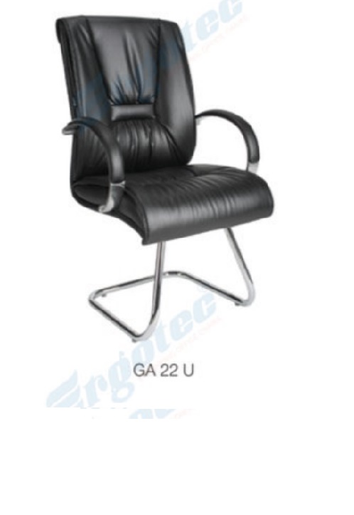 GA 22 U.jpg/