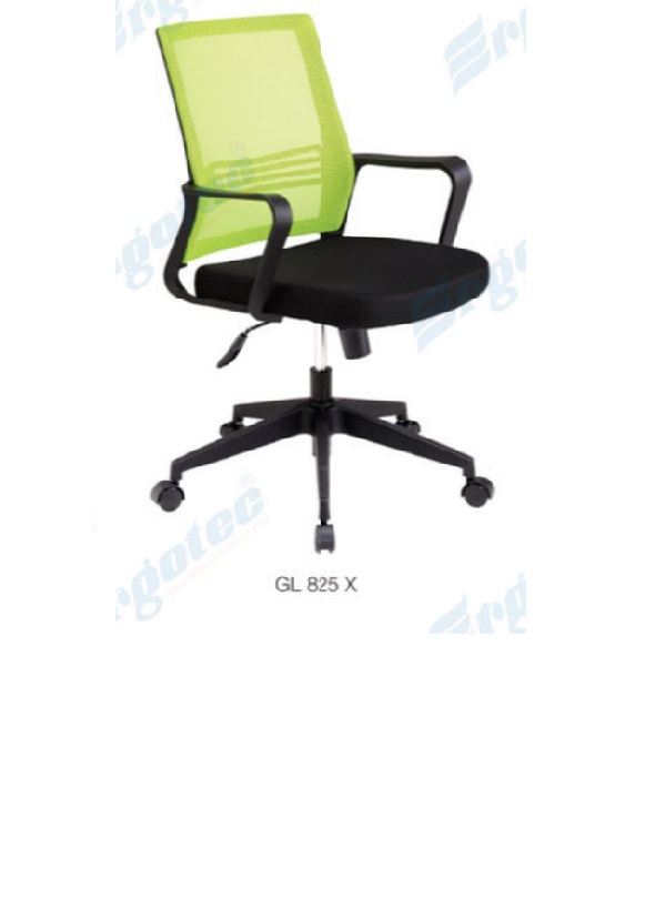 GL 825 X.jpg/