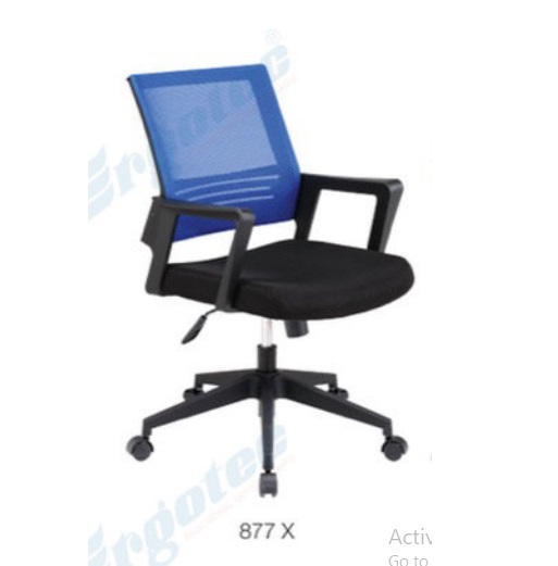 877 X.jpg/