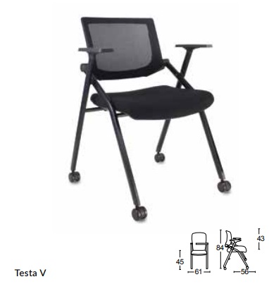 Testa V.jpg/