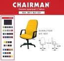 CHAIRMAN