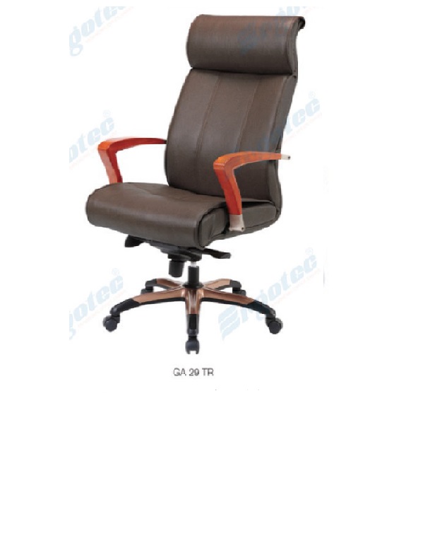 GA 29 TR.jpg/