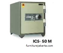ICS 50 M.jpg/