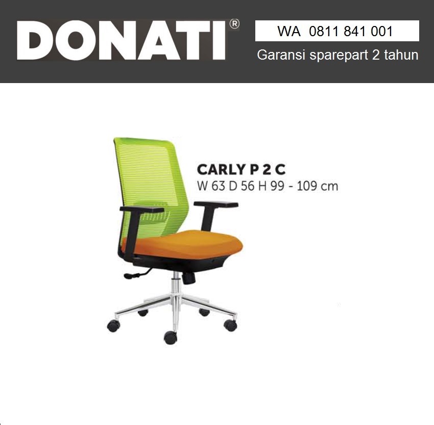CARLY P2C.jpg/